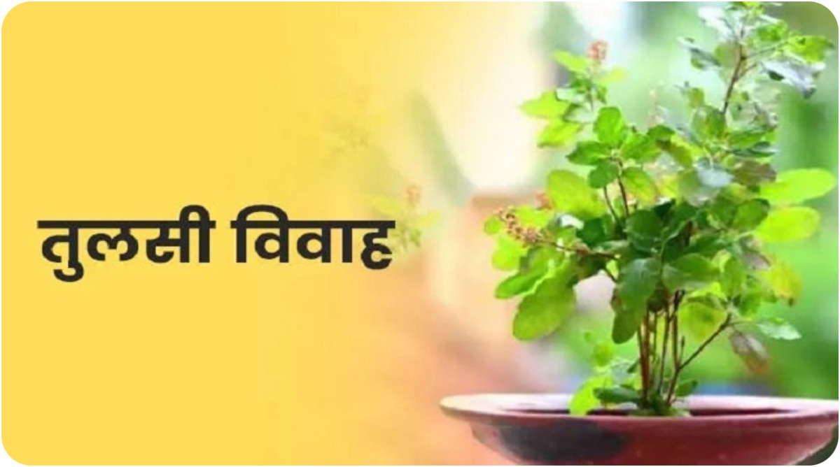 Photo of Tulsi Vivah 2024: 12 या 13 नवंबर कब है तुलसी विवाह?