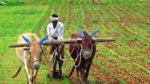 National Farmers Day