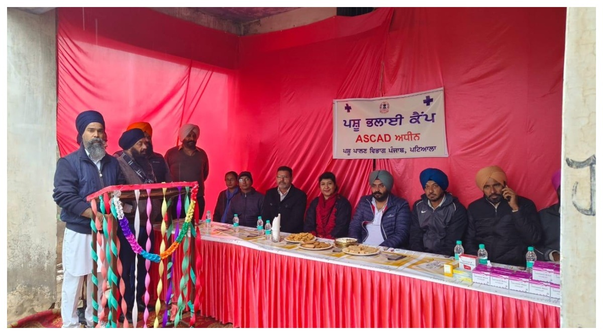Photo of Punjab : विधायक हरमीत सिंह पठानमाजरा ने सनौर में पशुपालन विभाग द्वारा लगाए गए कैंप का किया उद्घाटन