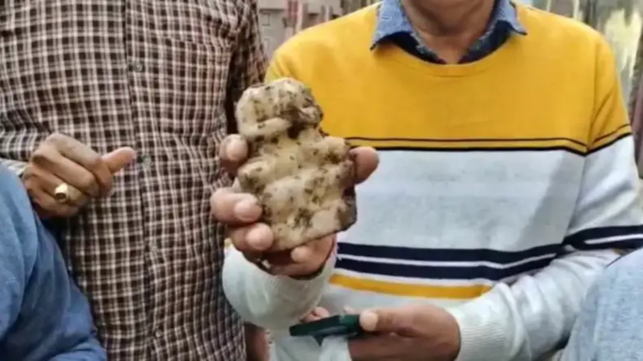 Photo of Sambhal: अब कुएं से निकली मां पार्वती की खंडित मूर्तियां, पुलिस ने कब्जे में ली…