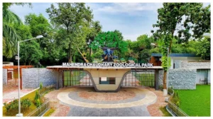 Chandigarh :