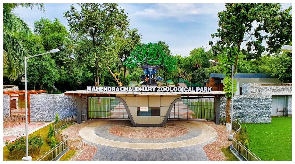 Photo of एक साल में 90,000 से अधिक स्कूली विद्यार्थियों ने किया छत्तबीड़ चिड़ियाघर का दौरा