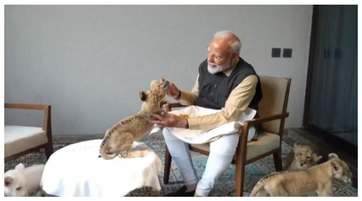 Photo of शेर के बच्चों को दुलार करते पीएम मोदी, देखें वीडियो