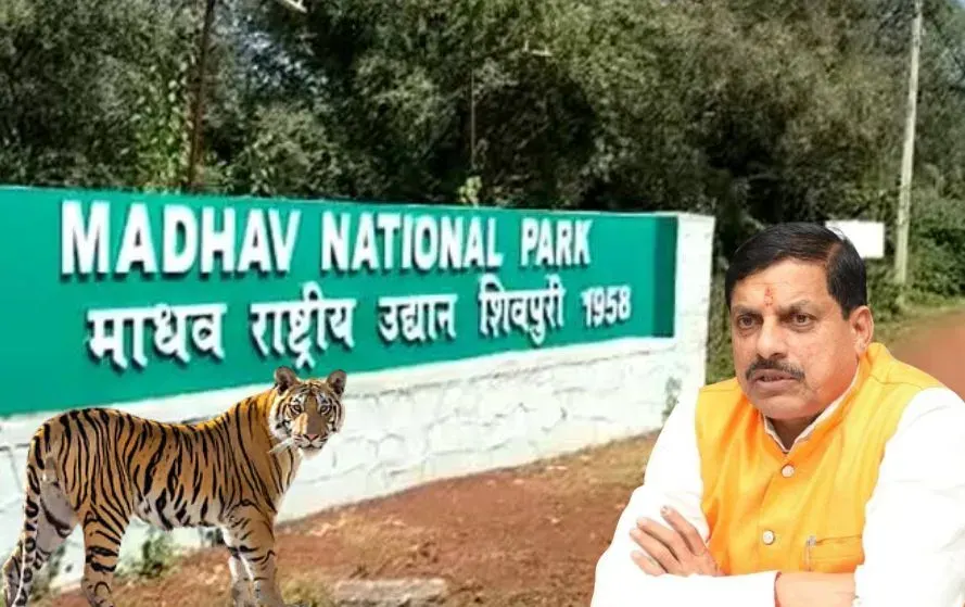 Photo of आज मुख्यमंत्री डॉ. मोहन यादव करेंगे माधव टाइगर रिजर्व का शुभारंभ
