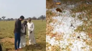 Rajasthan :