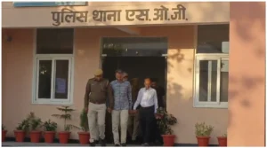 UP News