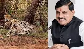 Madhya Pradesh :