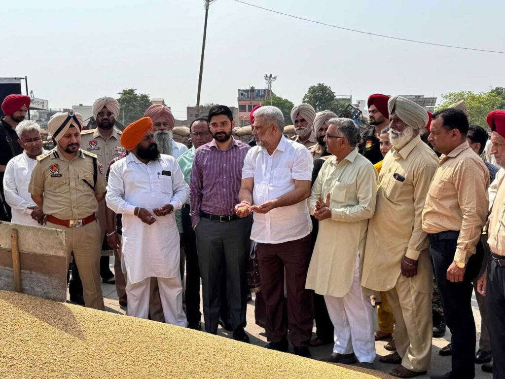 Punjab News :
