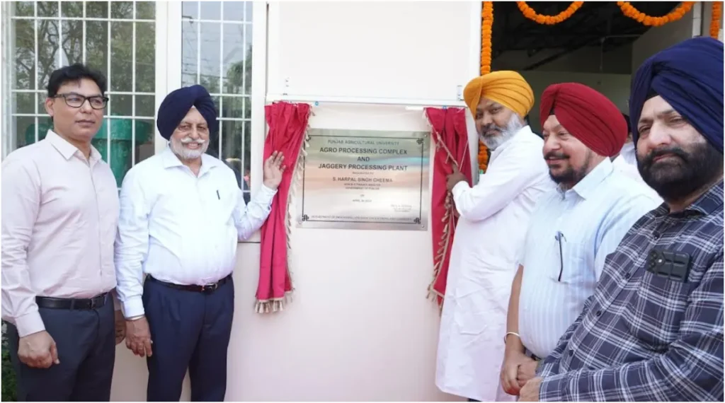 Punjab News :
