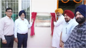 Punjab News :