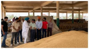 Punjab News :