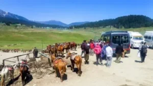 48 Resorts Closed in J&K :