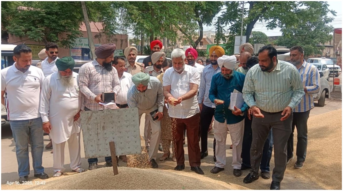 Photo of पंजाब की मंडियों में चालू खरीद सीजन के दौरान 4.19 लाख मीट्रिक टन गेहूं की आमद हुई – मंत्री लाल चंद कटारूचक