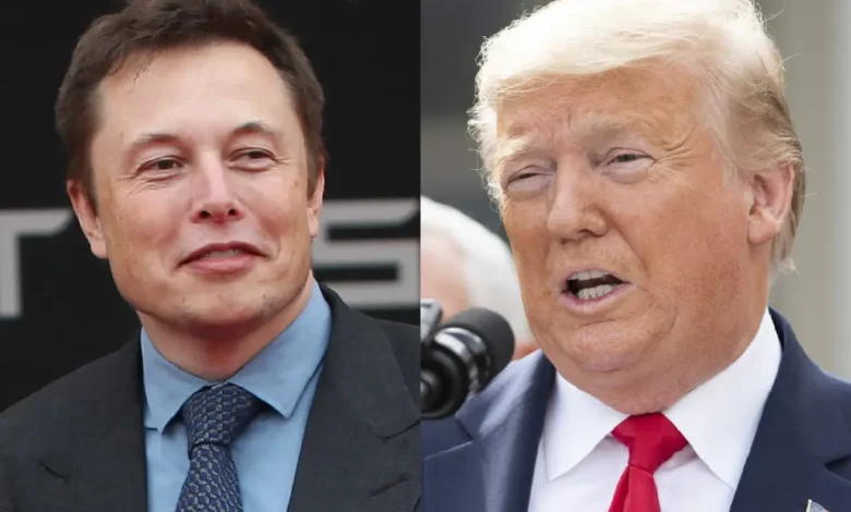 American billionaires Elon Musk and Donald Trump