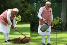Photo of विश्व पर्यावरण दिवस पर पीएम मोदी ने लगाया “सिंदूर का पौधा”, कच्छ में महिलाओं ने किया था भेंट
