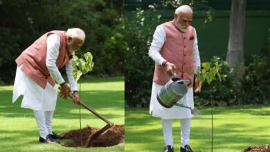 Photo of विश्व पर्यावरण दिवस पर पीएम मोदी ने लगाया “सिंदूर का पौधा”, कच्छ में महिलाओं ने किया था भेंट
