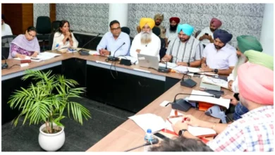 Photo of पंजाब में कपास की खेती में 20% वृद्धि, 2.98 लाख एकड़ पहुंची : गुरमीत सिंह खुडिया