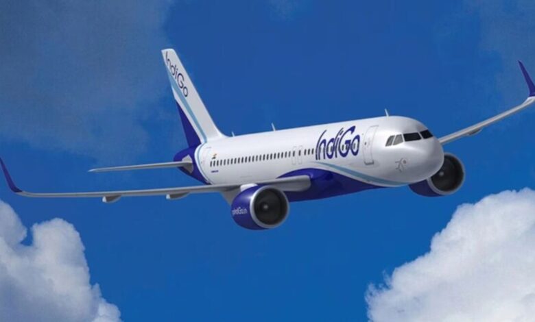 Indigo Plane
