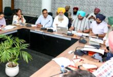 Photo of “पंजाब में नरमे की बंपर बुवाई! 20% की जबरदस्त बढ़ोतरी, 2.98 लाख एकड़ में फैली खेती”