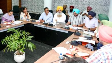 Photo of “पंजाब में नरमे की बंपर बुवाई! 20% की जबरदस्त बढ़ोतरी, 2.98 लाख एकड़ में फैली खेती”