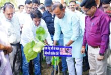 Photo of “मां के नाम 70 लाख पेड़! मंत्री रविन्द्र इंद्राज सिंह का बड़ा ऐलान, दिल्ली में लगेंगे 70 लाख पौधे, बच्चों से कहा – ‘ये सिर्फ पौधे नहीं, ममता की छाया हैं”