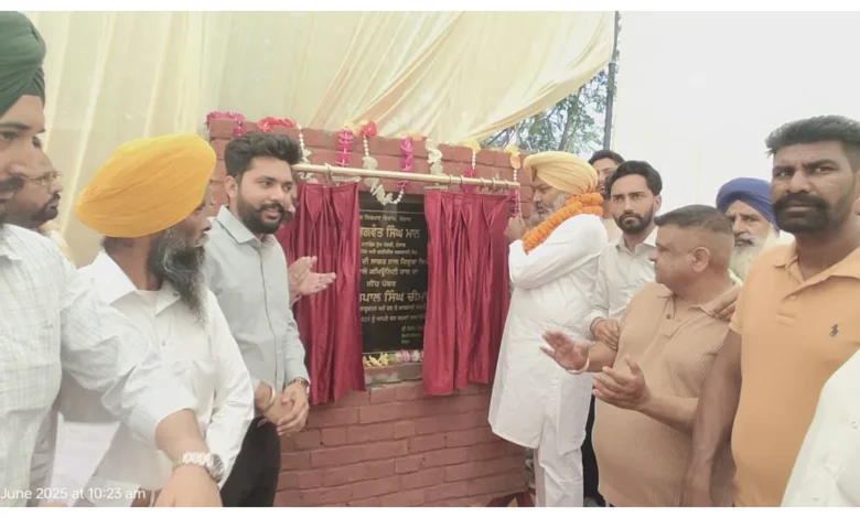 Punjab News :