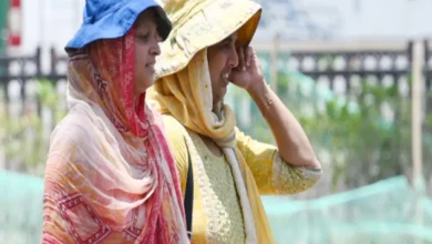Photo of तेज धूप और लू के साथ लौटेगी गर्मी, दिल्ली में 10 जून तक पारा 44 डिग्री पार करने की संभावना