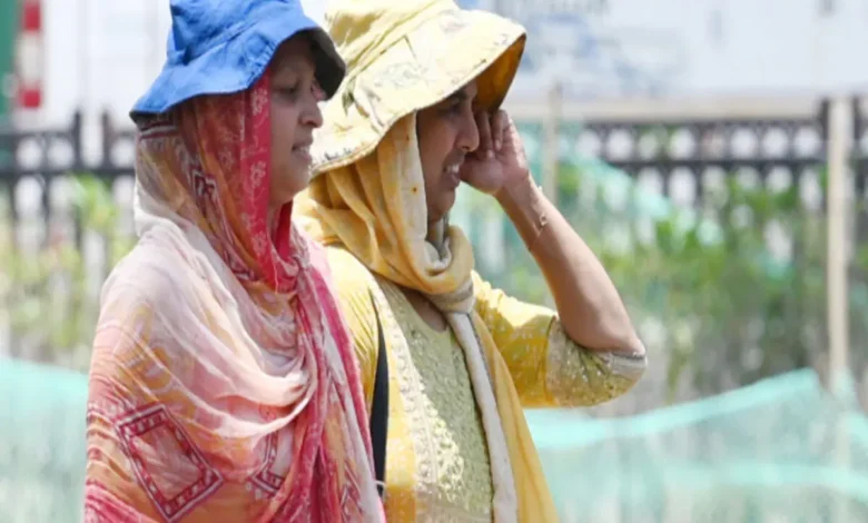 Delhi weather :