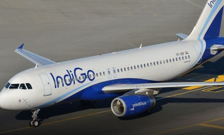 indigo flight
