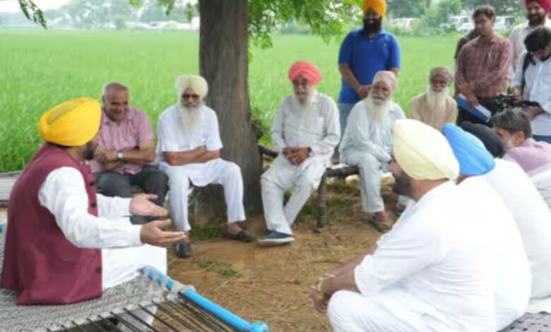 Cm bhagwant mann