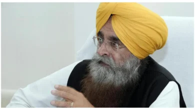 Photo of पंजाब में मछली पालन क्षेत्र का विस्तार, वार्षिक उत्पादन पहुँचा 2 लाख मीट्रिक टन : मंत्री गुरमीत सिंह खुड्डियां