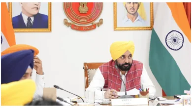 Photo of पंजाब कैबिनेट के ऐतिहासिक फैसले, नकली बीज बिक्री गैर-जमानती अपराध घोषित, निवेश प्रोत्साहन और सेवा नियमों में बड़े संशोधन