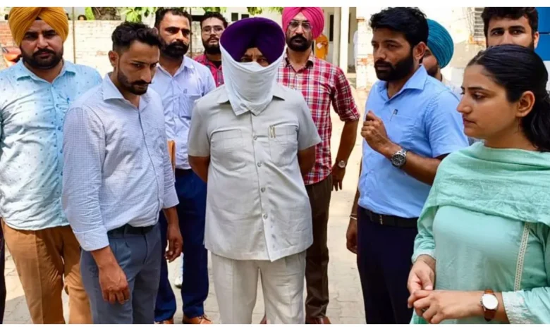 Punjab News :