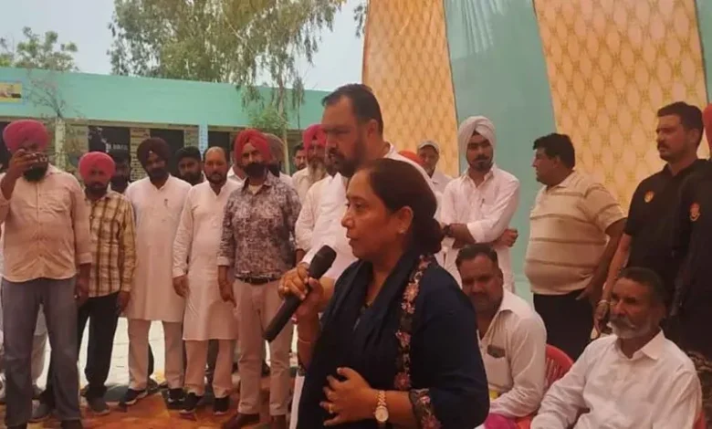 Punjab News :
