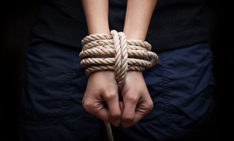 Niger Kidnap