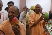 Photo of उत्तर प्रदेश आम महोत्सव 2025: सीएम योगी ने किया उद्घाटन, 800 से ज्यादा किस्मों के आमों की प्रदर्शनी