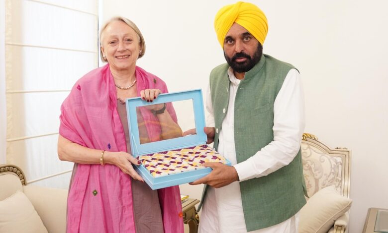 Cm Bhagwant Mann