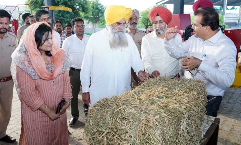 Punjab Agriculture Reform