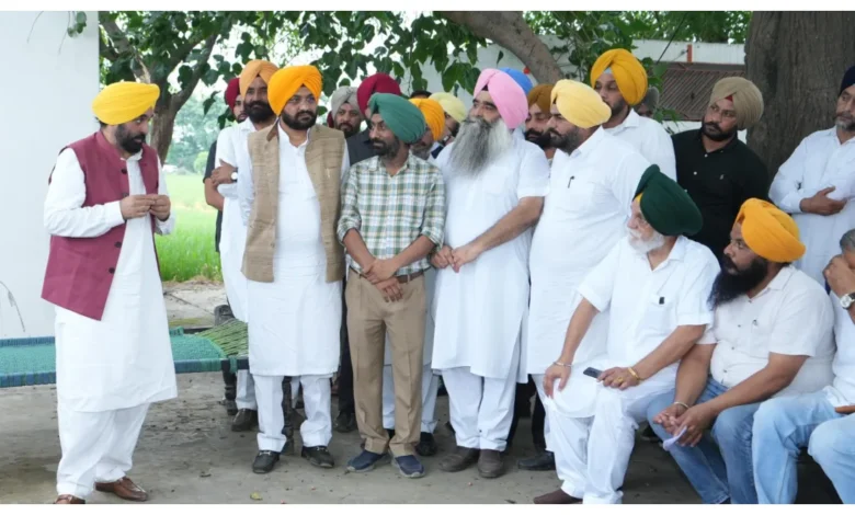 Punjab News :
