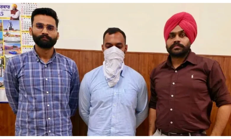 Punjab News :