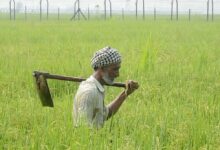 Photo of Punjab: अनजाने में बार्डर पार पहुंचा किसान! पाकिस्तानी कोर्ट ने सुनाई एक महीने की सजा