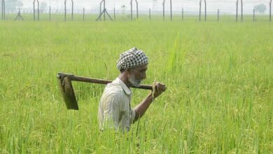Photo of Punjab: अनजाने में बार्डर पार पहुंचा किसान! पाकिस्तानी कोर्ट ने सुनाई एक महीने की सजा