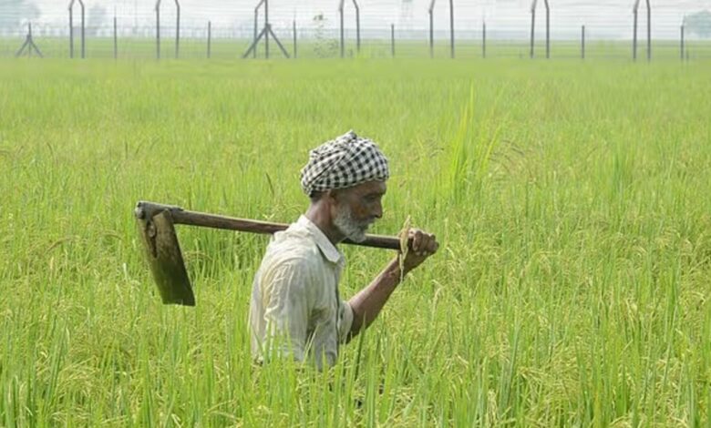 Punjab Farmer Arrested In Pakistan