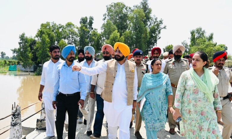 Punjab Flood Inspection