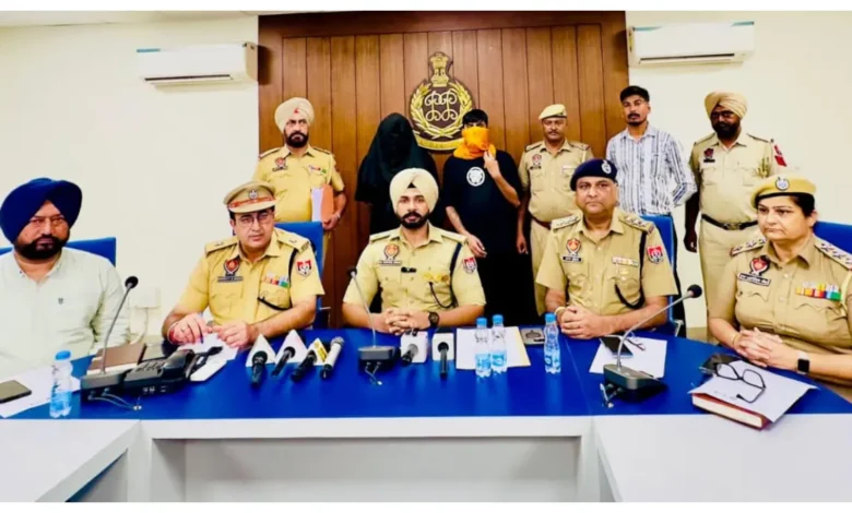 Punjab News :
