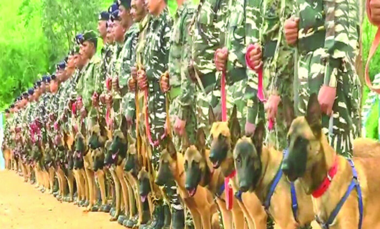 MP Wildlife Security
