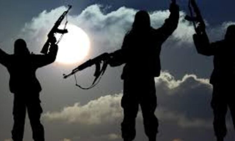 Punjab Terrorists Arrested