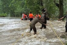 Photo of NDRF, SDRF और सेना के साथ मिलकर पंजाब पुलिस ने बाढ़ प्रभावित जिलों में बचाव कार्य किए तेज