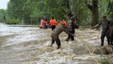 Photo of NDRF, SDRF और सेना के साथ मिलकर पंजाब पुलिस ने बाढ़ प्रभावित जिलों में बचाव कार्य किए तेज