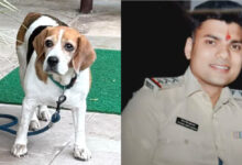 Photo of इंस्पेक्टर ने सिपाही को पीटा, SP ने किया सस्पेंड, FIR के लिए धरना जारी